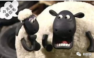 “拼多多”事件引发的思考