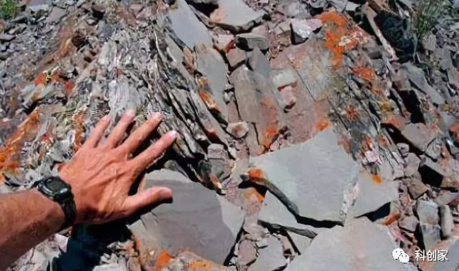 页岩气甜点预测技术：寻觅页岩缝隙中的天然气