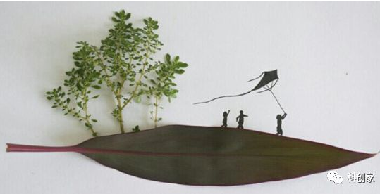 褚时健：发快财的时代过去了，年轻人要先做好这些事