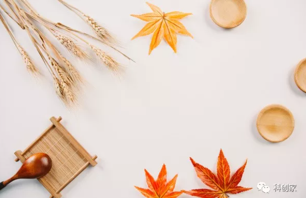 1763971281449931.png 1daee5cba30b32f997a1e215c8728bad.png