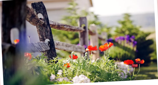 1765873662470303.png f5e718631519516e8671dc8ba8238f96.png